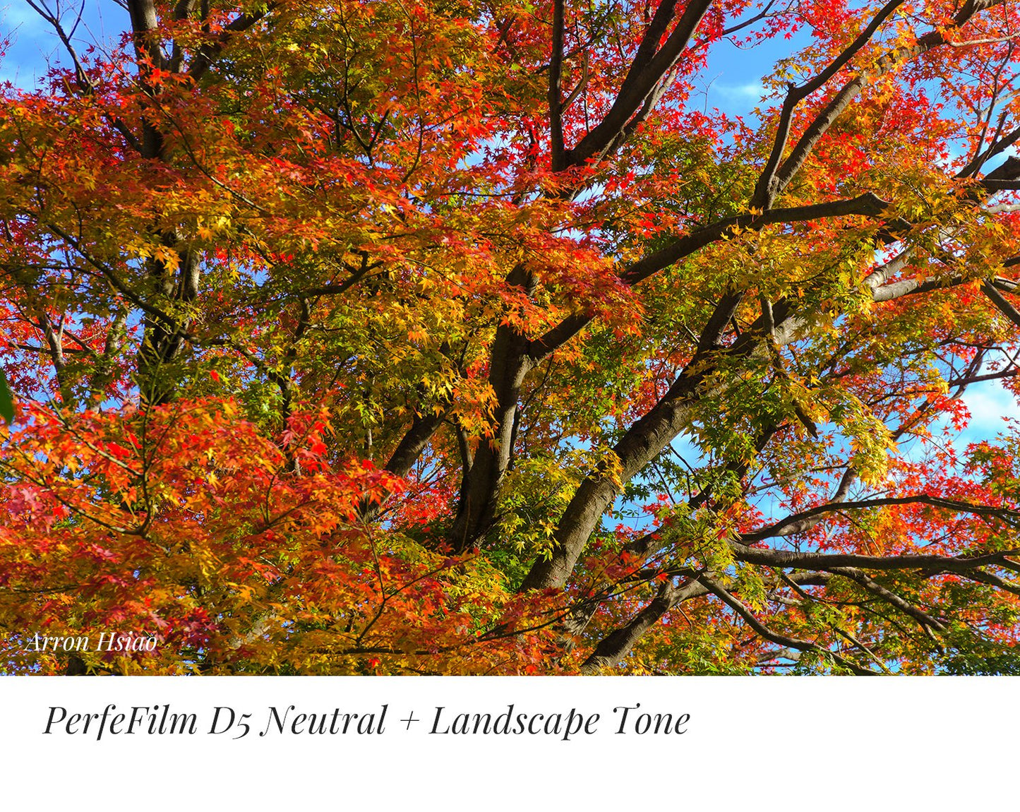 PerfeFilm D5 Lighroom 色彩配置文件, 单一相机授权。模拟 Nikon D5 色彩