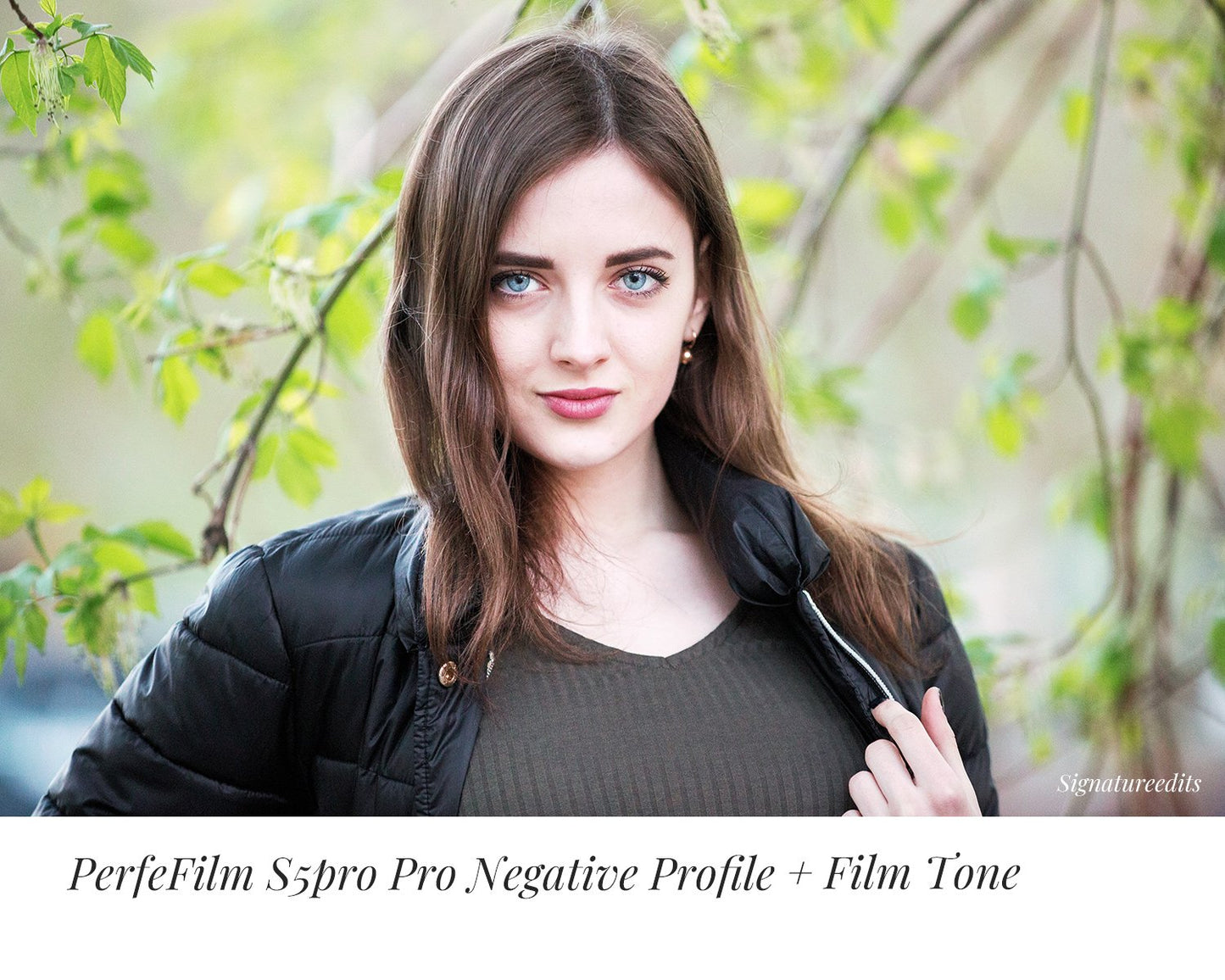 PerfeFilm 数位相机套餐 : 所有数码相机色彩 Lightroom 配置文件, 单一相机许可证