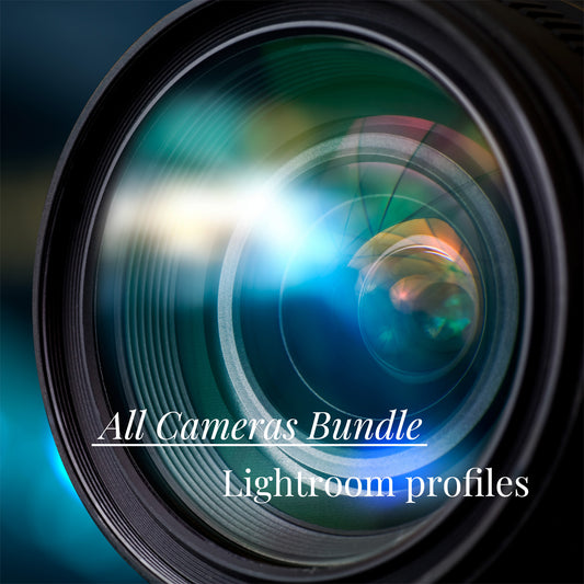PerfeFilm 数位相机套餐 : 所有数码相机色彩 Lightroom 配置文件, 单一相机许可证